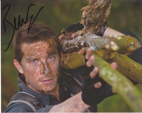 Survivor expert bear grylls - bear,