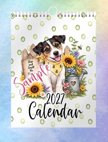 Jack russell terrier - jack, a4