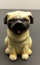 Sitting Pug dog Salt Or