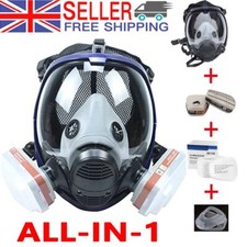 Facepiece Respirator Painting