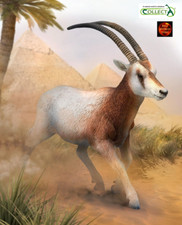Scimitar Horned Oryx Antelope