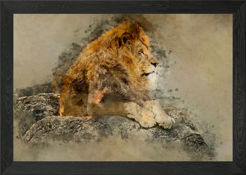 Digital painting big lion - of,