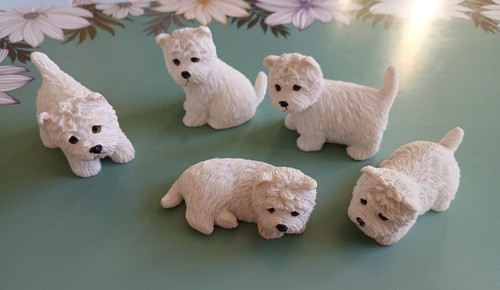 Set mini westie - of, 5