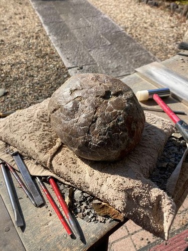 Dinosaur hadrosaurus egg - dinosaur,