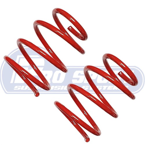 Pro sport lowering - sport, springs