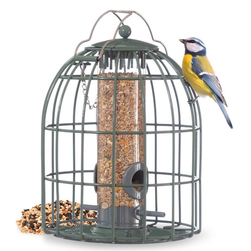 Squirrel proof seed feeder - squirrel,