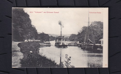 Printed postcard linnet - printed,