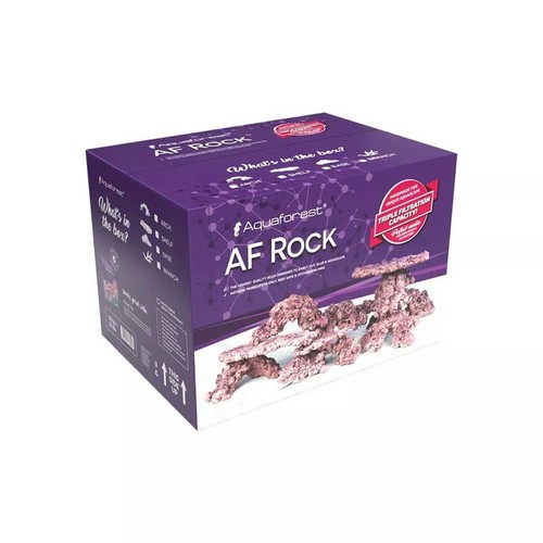 Rock dry aquarium live - aquarium,