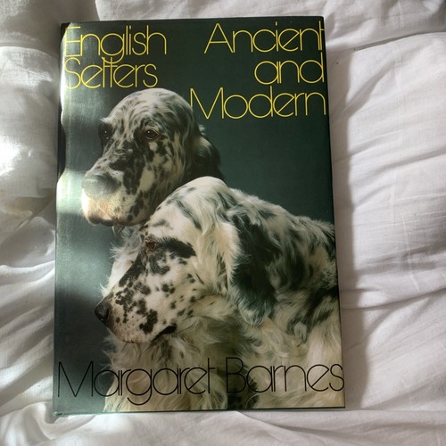 English setters ancient - setters,