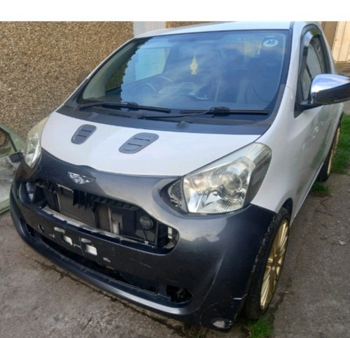 Aston cygnet front - cygnet, end