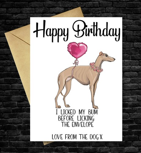 Funny birthday card dog - birthday,