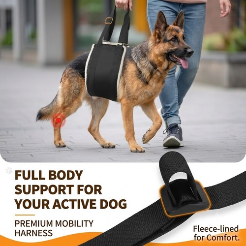Pet dog mobility aids support - mobility,