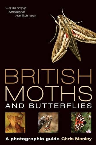 British moths and butterflies - moths,