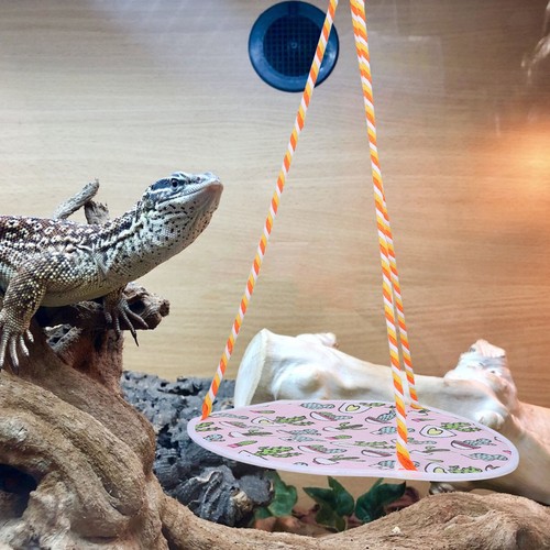 Reptile hammock toy bearded - reptile,