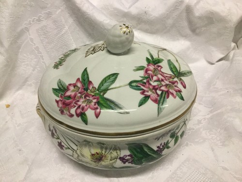 Spode stafford flowers - spode,