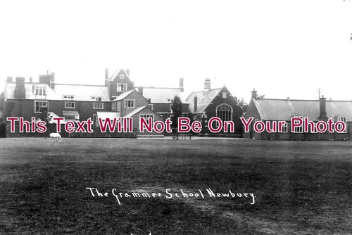1294 the grammar - the,
