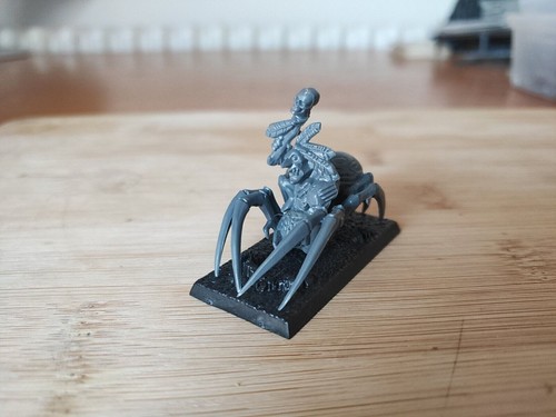 Night goblin shaman spider - shaman,