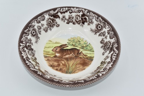 Spode woodland wild rabbit - woodland,