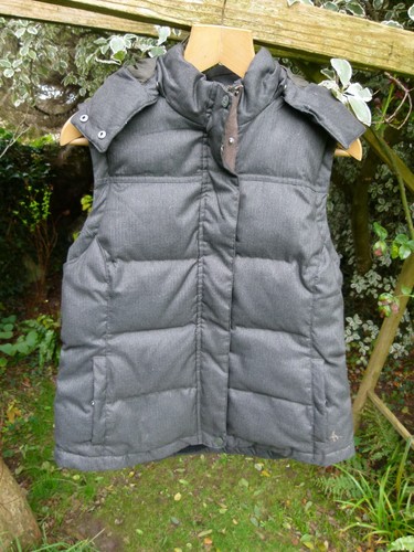 Jack wills ladies green - green, padded