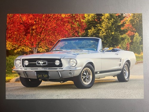 1967 ford mustang gta - 1967,