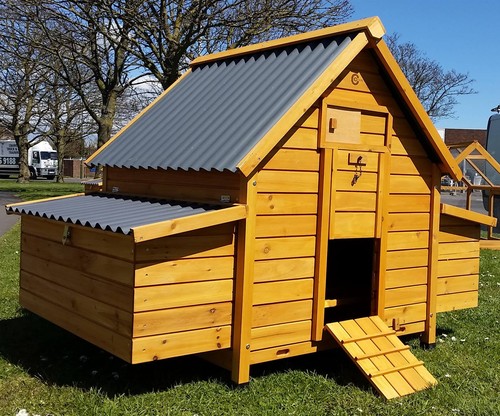 Large chicken coop - coop, hen