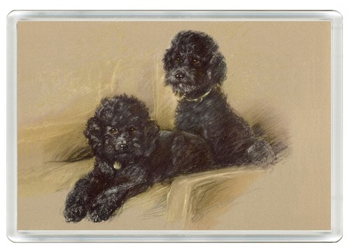Poodle dog fridge magnet great - dog,