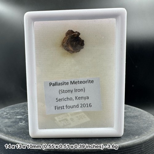 Sericho pallasite space rock - sericho,