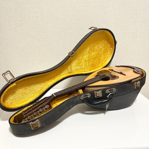 Suzuki violin nagoya - violin,