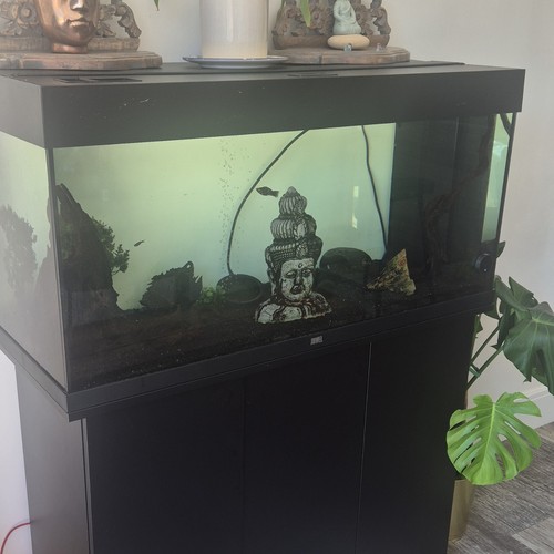 Juwel rio 240l - juwel, fish