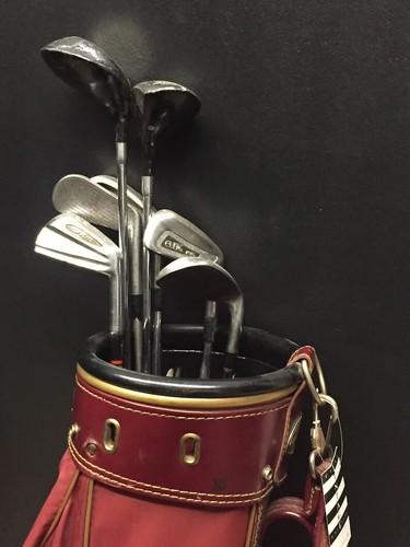 Vintage 1960 golf bag - vintage,