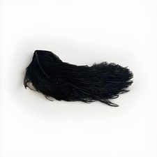 ANTIQUE/VINTAGE OSTRICH