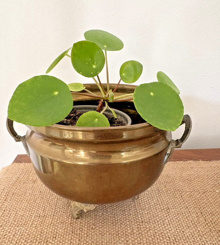 Vintage brass cauldron - brass,