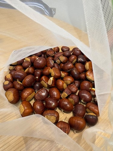 1kg fresh sweet - fresh,