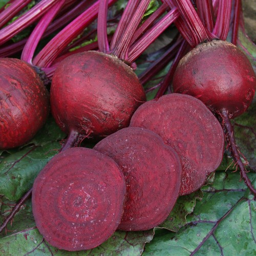 Beetroot boston round - round, root