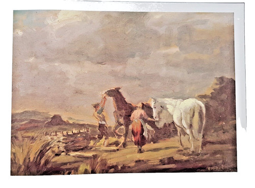 Irish artist charles mcauley - charles,