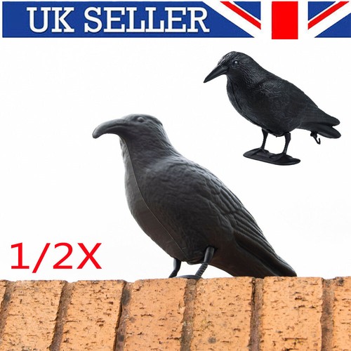 Pigeon scarer life size - size, decoy