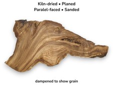 Japanese Pagoda Tree Live Edge