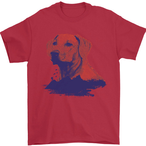 Golden retriever mountains - retriever,