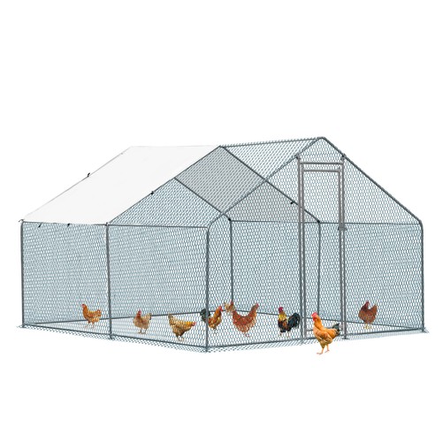 Large metal chicken - 10, 10