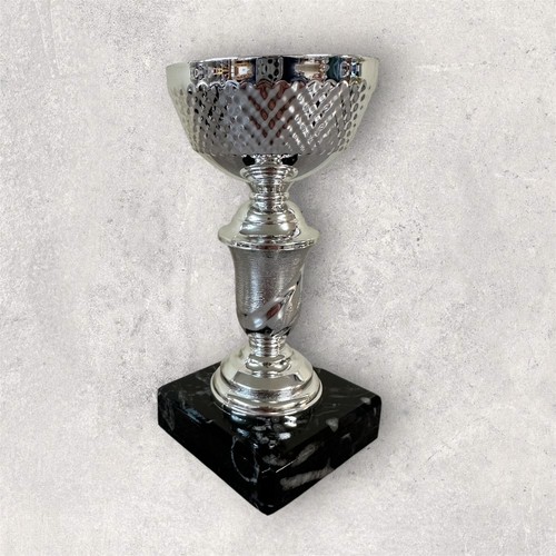 Silver bowl cup - bowl,