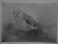 Hand-painted pencil painting