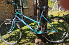 Raleigh montana ladies - raleigh, vintage