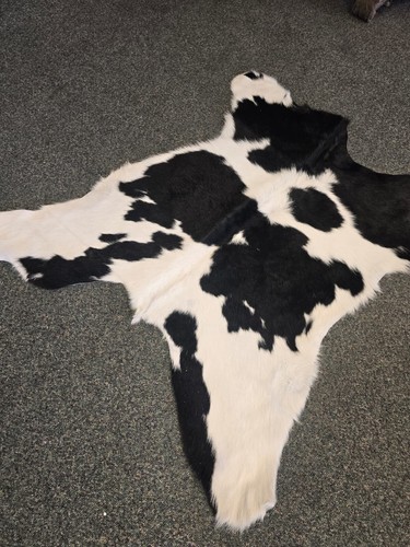 Calf hide skin - hide,