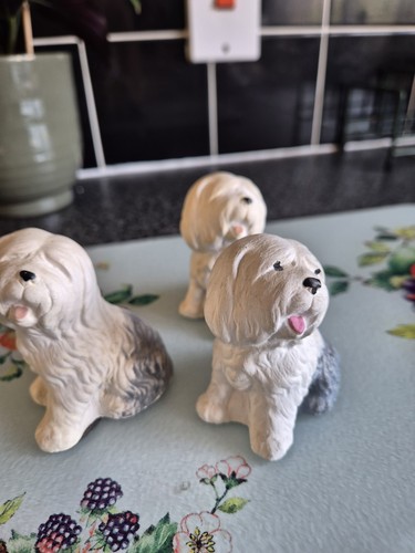 Old english sheepdog - 3, x