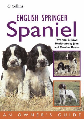 English springer spaniel - english,