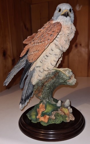 Country artists kestrel - kestrel, bird