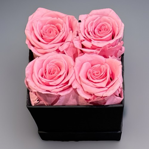 New preserved roses - new,