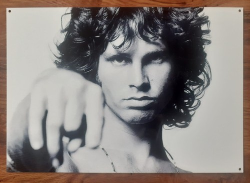 Jim morrison the doors - the, man