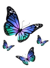 Set 4x sticker decal vinyl car