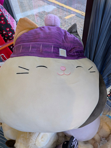 Large cat plush soft toy - plush, with